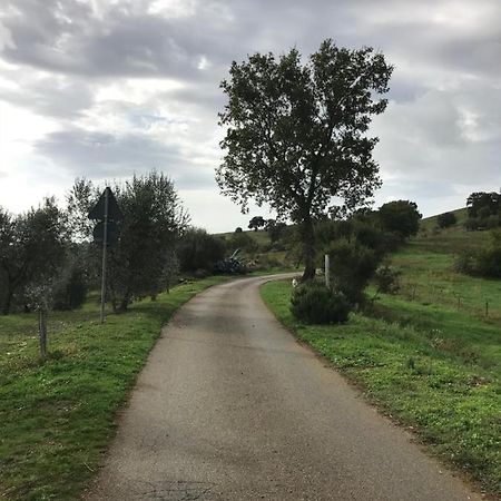 Podere Pini Magliano in Toscana Exterior foto