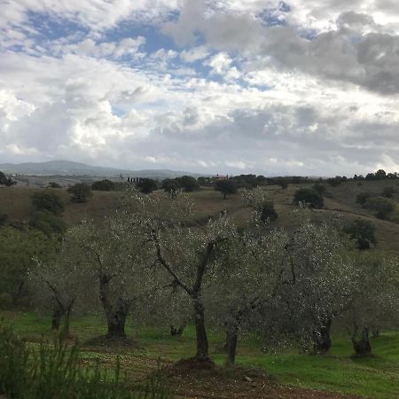 Podere Pini Magliano in Toscana Exterior foto