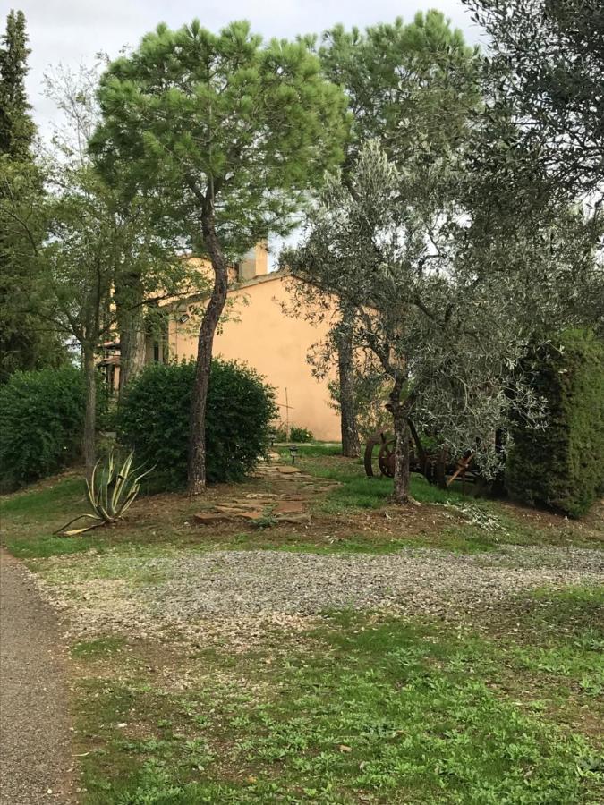 Podere Pini Magliano in Toscana Exterior foto
