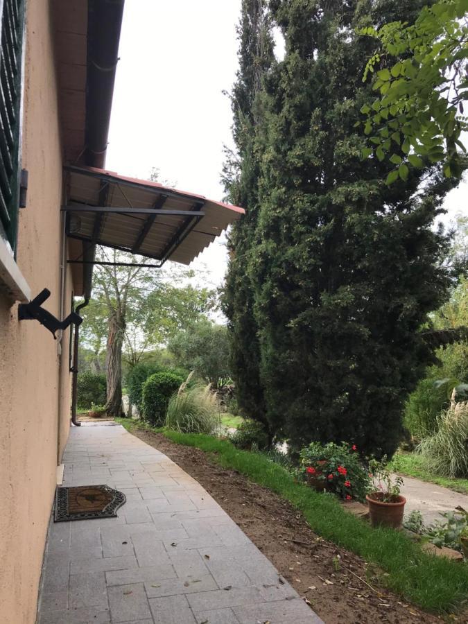 Podere Pini Magliano in Toscana Exterior foto