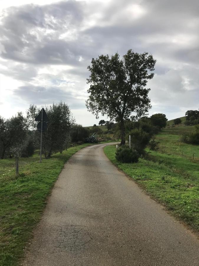 Podere Pini Magliano in Toscana Exterior foto