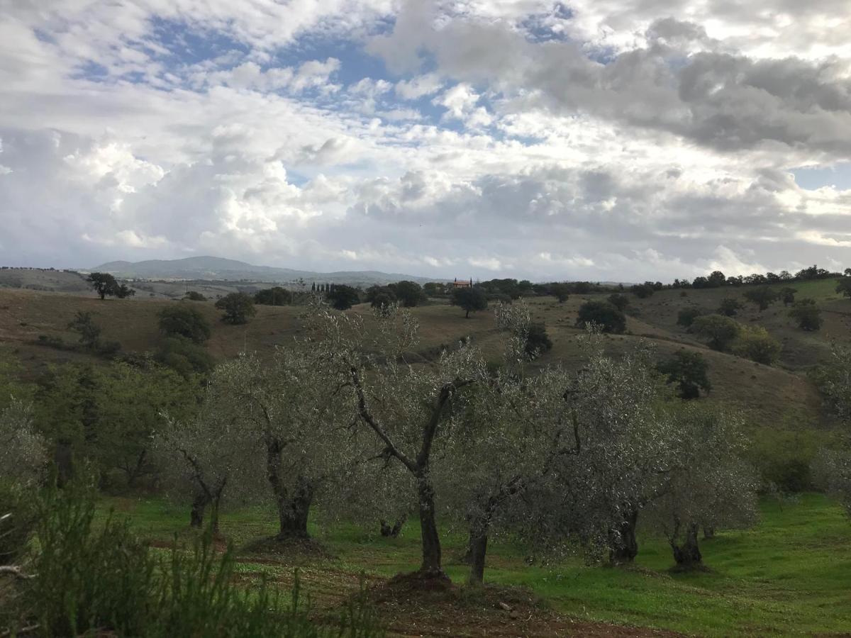 Podere Pini Magliano in Toscana Exterior foto